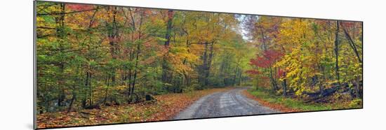 0627 Autumn Road-Doug Cavanah-Mounted Giclee Print