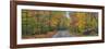 0627 Autumn Road-Doug Cavanah-Framed Giclee Print