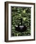 064-Craig Snodgrass-Framed Giclee Print