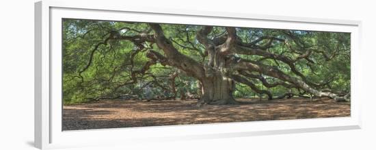 0664-Doug Cavanah-Framed Giclee Print