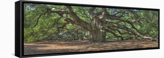 0664-Doug Cavanah-Framed Stretched Canvas