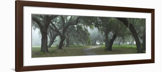 0698-Doug Cavanah-Framed Giclee Print