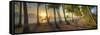 0772 Palm Cove-Doug Cavanah-Framed Stretched Canvas