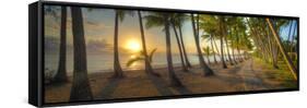 0772 Palm Cove-Doug Cavanah-Framed Stretched Canvas