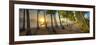 0772 Palm Cove-Doug Cavanah-Framed Giclee Print