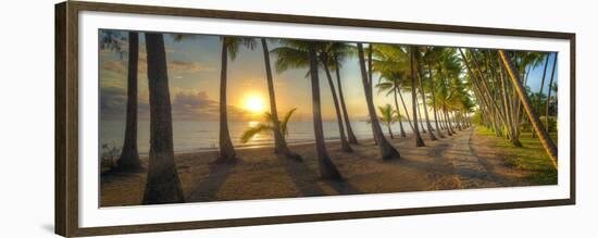0772 Palm Cove-Doug Cavanah-Framed Giclee Print