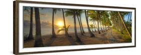 0772 Palm Cove-Doug Cavanah-Framed Giclee Print