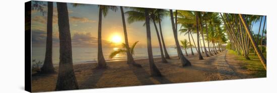 0772 Palm Cove-Doug Cavanah-Stretched Canvas