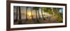 0772 Palm Cove-Doug Cavanah-Framed Giclee Print