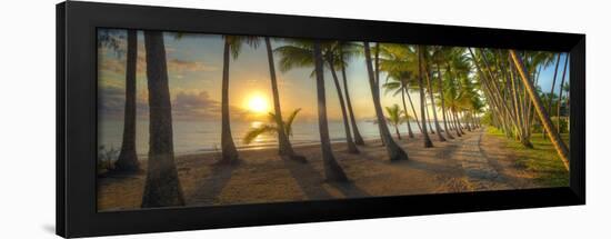 0772 Palm Cove-Doug Cavanah-Framed Giclee Print