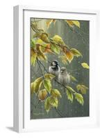 0851 Sparrows In Rain-Jeremy Paul-Framed Giclee Print