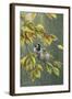 0851 Sparrows In Rain-Jeremy Paul-Framed Giclee Print