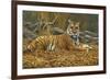 0868 Bengal Tiger-Jeremy Paul-Framed Giclee Print