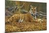 0868 Bengal Tiger-Jeremy Paul-Mounted Giclee Print