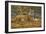 0868 Bengal Tiger-Jeremy Paul-Framed Giclee Print