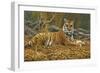 0868 Bengal Tiger-Jeremy Paul-Framed Giclee Print