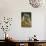 0872 Sumatran Tiger-Jeremy Paul-Giclee Print displayed on a wall