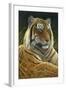 0872 Sumatran Tiger-Jeremy Paul-Framed Giclee Print