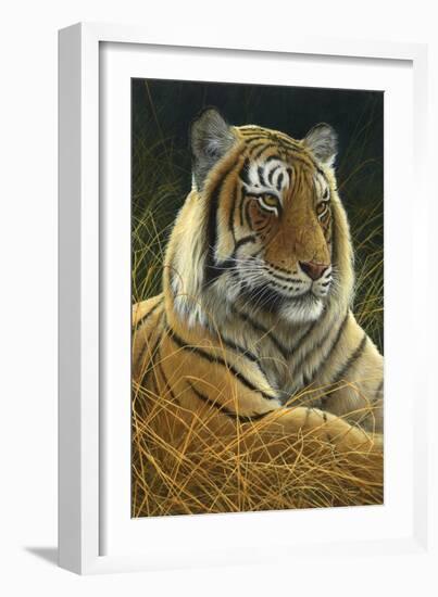 0872 Sumatran Tiger-Jeremy Paul-Framed Giclee Print