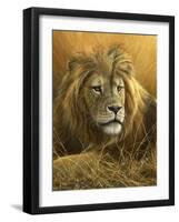 0908 Evening Glow  Lion-Jeremy Paul-Framed Giclee Print