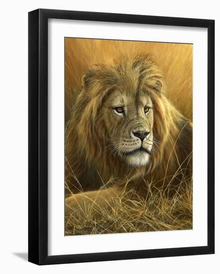 0908 Evening Glow  Lion-Jeremy Paul-Framed Giclee Print