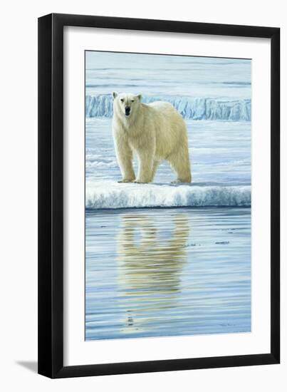 0944 Curious Bear Photo-Jeremy Paul-Framed Giclee Print