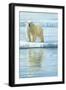 0944 Curious Bear Photo-Jeremy Paul-Framed Giclee Print