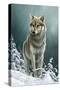 0982 Wolf On The Ridge-Jeremy Paul-Stretched Canvas
