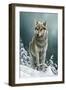 0982 Wolf On The Ridge-Jeremy Paul-Framed Giclee Print