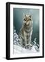 0982 Wolf On The Ridge-Jeremy Paul-Framed Giclee Print