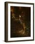 0987 Tiger Odyssey-Jeremy Paul-Framed Giclee Print