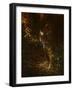 0987 Tiger Odyssey-Jeremy Paul-Framed Giclee Print