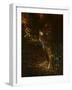 0987 Tiger Odyssey-Jeremy Paul-Framed Giclee Print