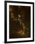 0987 Tiger Odyssey-Jeremy Paul-Framed Giclee Print