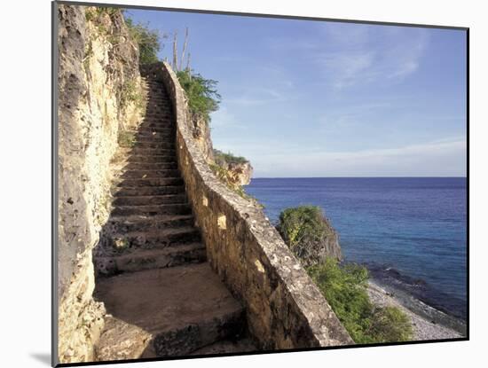 1,000 Steps Limestone Stairway in Cliff, Bonaire, Caribbean-Greg Johnston-Mounted Premium Photographic Print