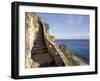 1,000 Steps Limestone Stairway in Cliff, Bonaire, Caribbean-Greg Johnston-Framed Photographic Print