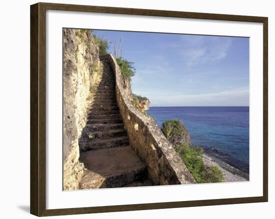 1,000 Steps Limestone Stairway in Cliff, Bonaire, Caribbean-Greg Johnston-Framed Photographic Print