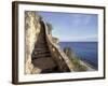 1,000 Steps Limestone Stairway in Cliff, Bonaire, Caribbean-Greg Johnston-Framed Photographic Print