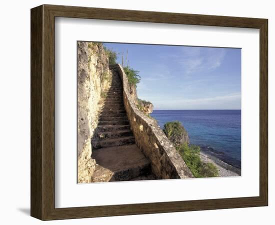 1,000 Steps Limestone Stairway in Cliff, Bonaire, Caribbean-Greg Johnston-Framed Photographic Print