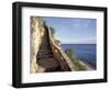 1,000 Steps Limestone Stairway in Cliff, Bonaire, Caribbean-Greg Johnston-Framed Photographic Print