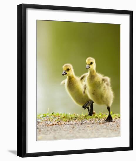 1 2 3 Go!-null-Framed Art Print