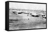 1/5 RWR Battalion Camp, Samarra, Mesopotamia, 1918-null-Framed Stretched Canvas