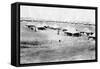 1/5 RWR Battalion Camp, Samarra, Mesopotamia, 1918-null-Framed Stretched Canvas