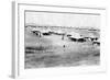 1/5 RWR Battalion Camp, Samarra, Mesopotamia, 1918-null-Framed Giclee Print