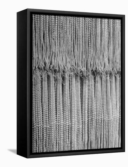 1,500 Strings of Pearls Hanging in Factory Before Shipping-Alfred Eisenstaedt-Framed Stretched Canvas