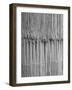 1,500 Strings of Pearls Hanging in Factory Before Shipping-Alfred Eisenstaedt-Framed Photographic Print