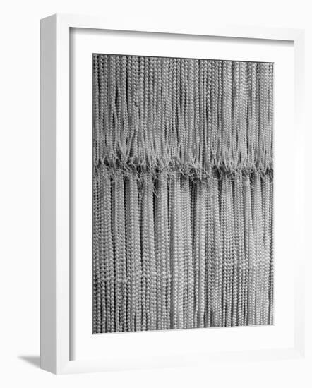 1,500 Strings of Pearls Hanging in Factory Before Shipping-Alfred Eisenstaedt-Framed Photographic Print