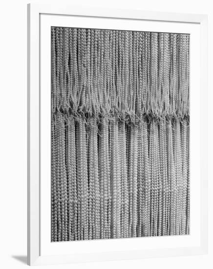 1,500 Strings of Pearls Hanging in Factory Before Shipping-Alfred Eisenstaedt-Framed Photographic Print