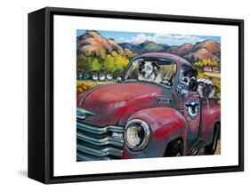1-800 Ewe Guys-CR Townsend-Framed Stretched Canvas