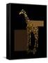1 Gold Giraffe-Tina Lavoie-Framed Stretched Canvas